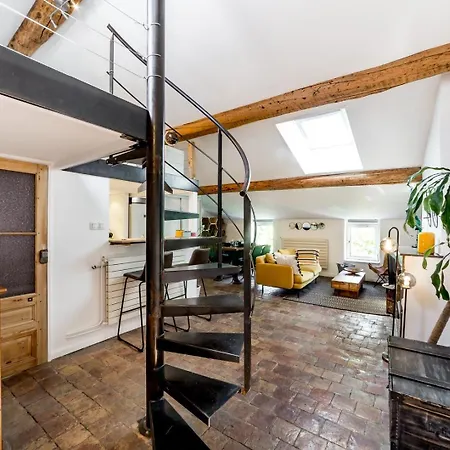아파트 Le Loft Des Artistes De La Croix-rousse Ail