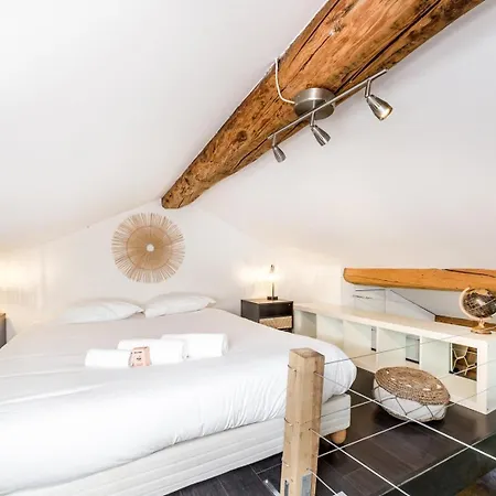 Le Loft Des Artistes De La Croix-rousse Ail Apartman *